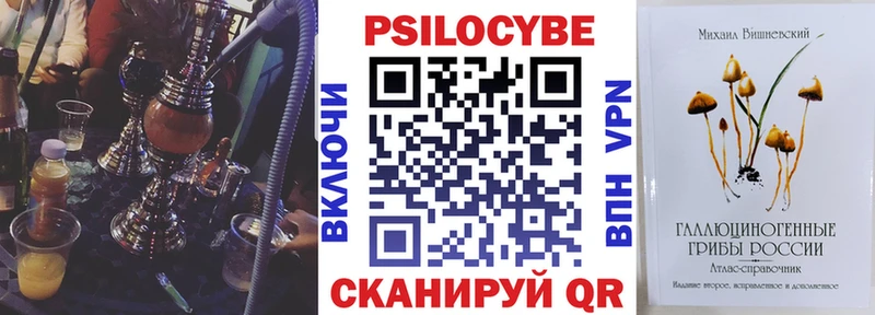 darknet телеграм  Солнечногорск  Псилоцибиновые грибы GOLDEN TEACHER 