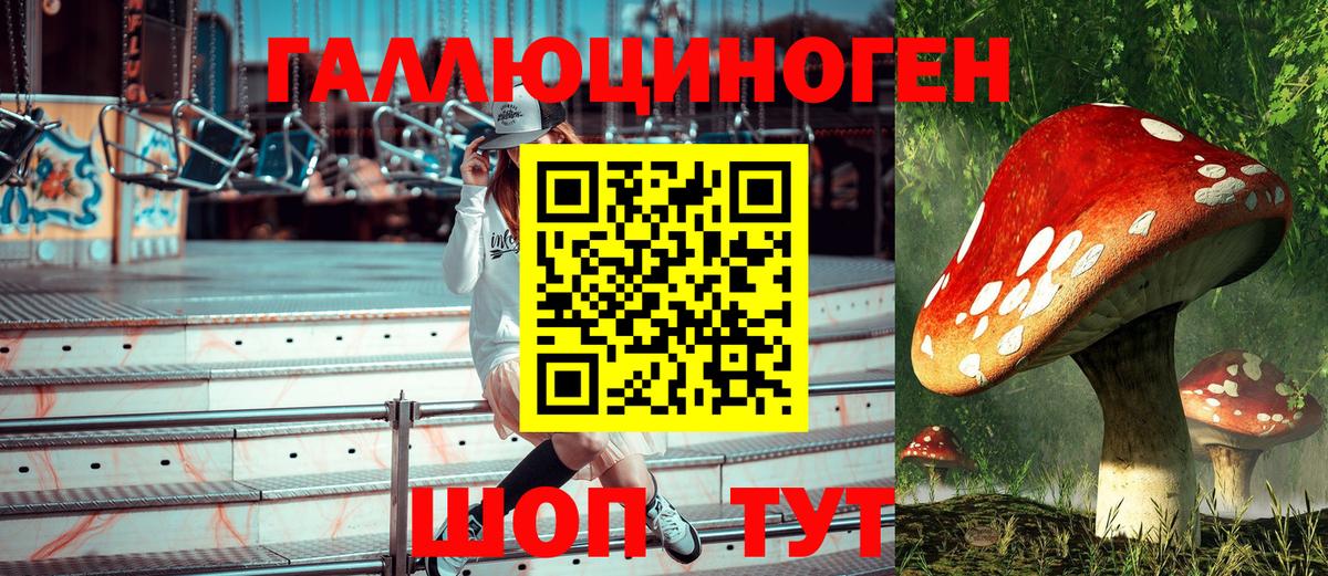 Псилоцибиновые грибы прущие грибы Солнечногорск