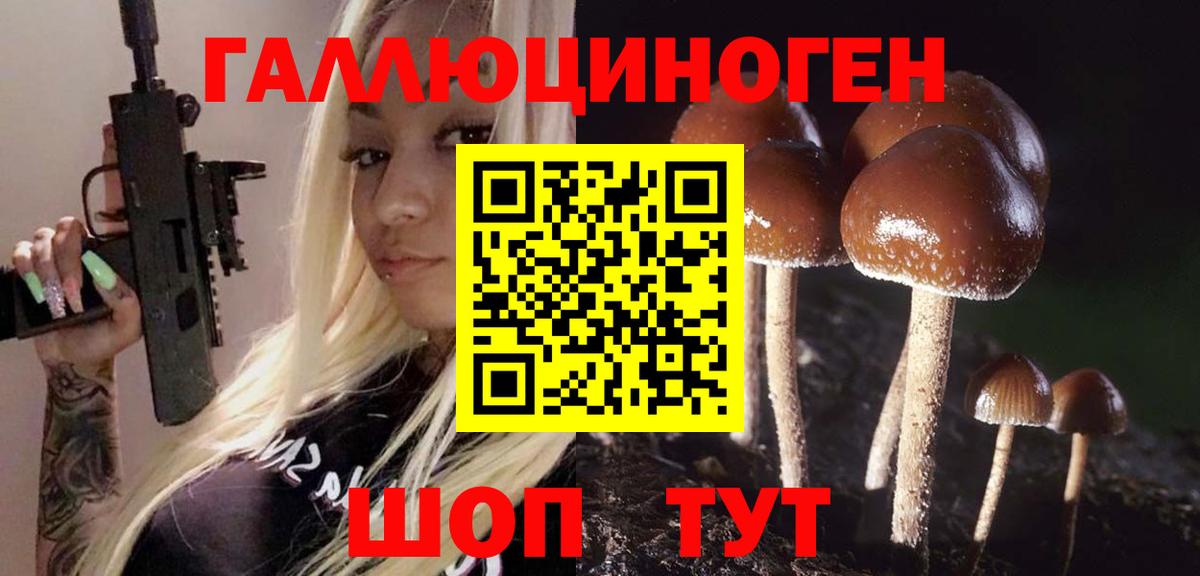Галлюциногенные грибы GOLDEN TEACHER  Галлюциногенные грибы мухоморы  Вход с VPN  Солнечногорск 